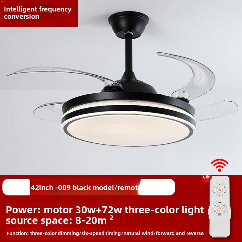 Ceiling Fan Light