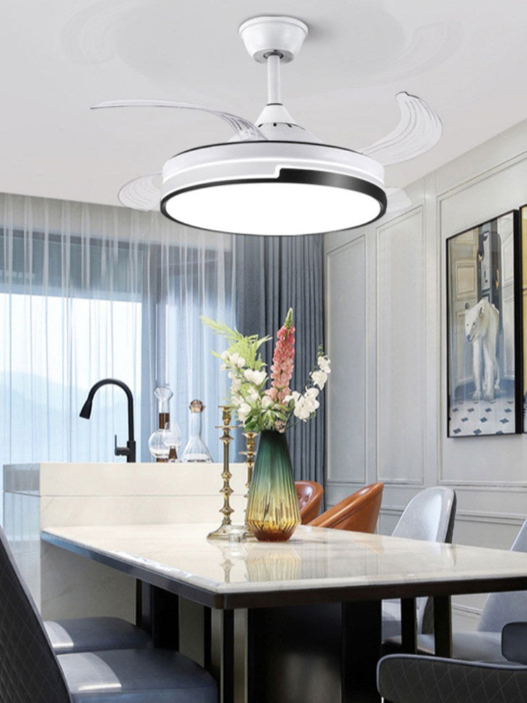 Ceiling Fan Light