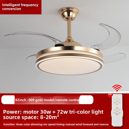 Ceiling Fan Light