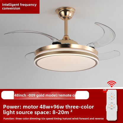 Ceiling Fan Light
