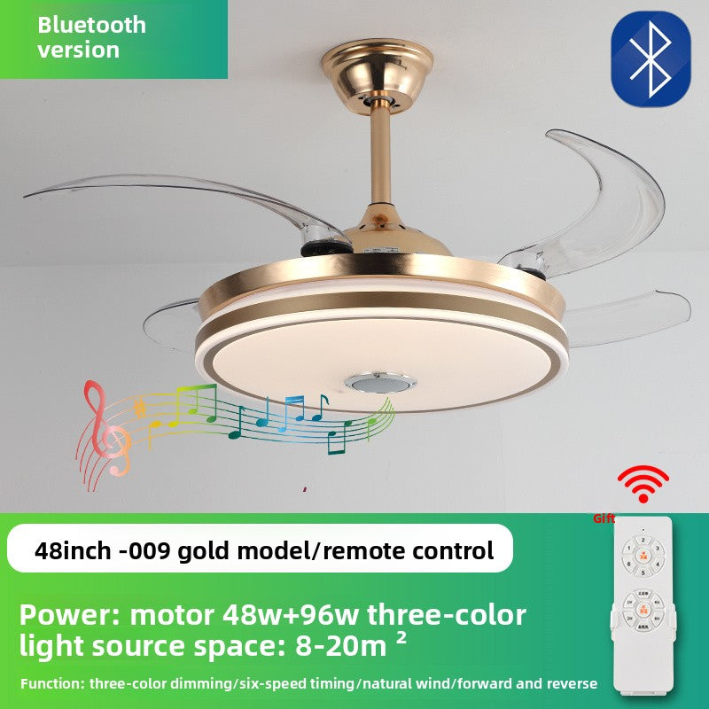 Ceiling Fan Light