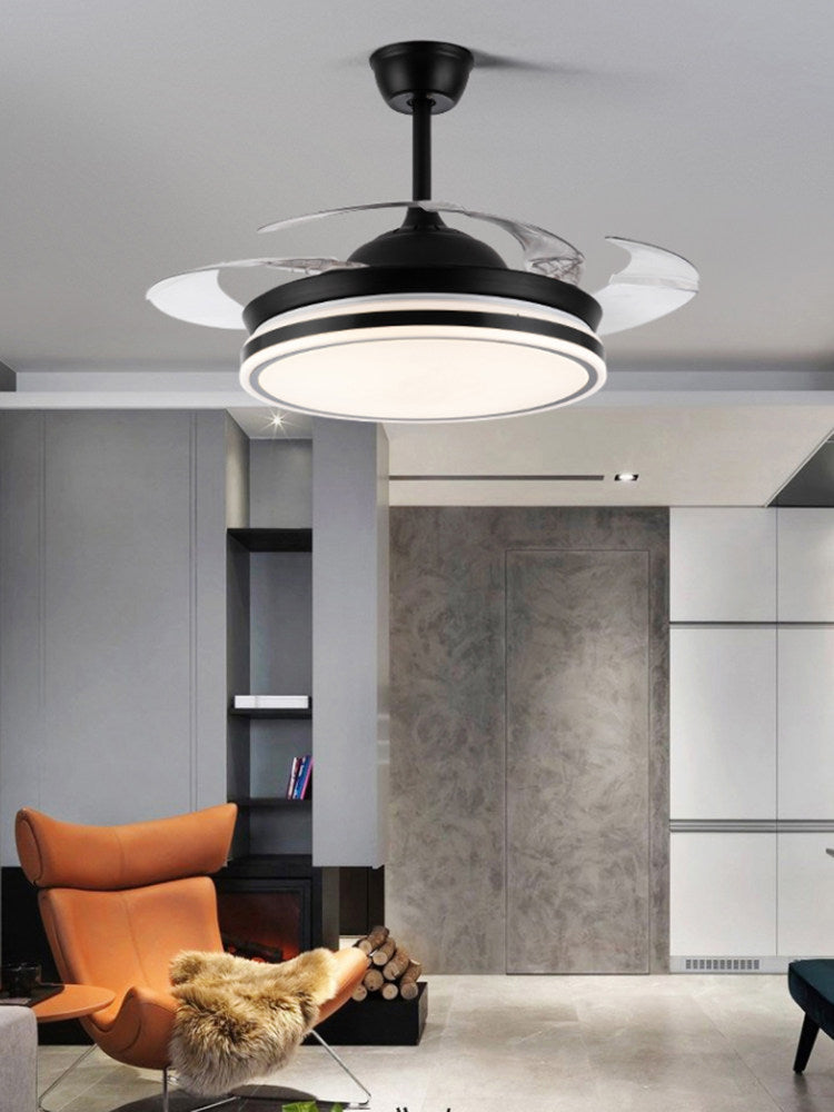 Ceiling Fan Light