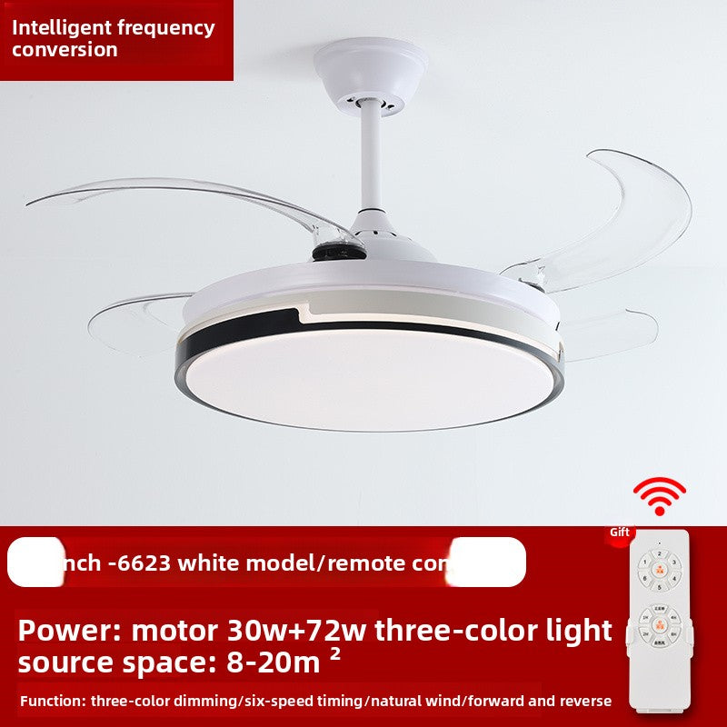 Ceiling Fan Light