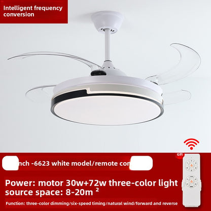 Ceiling Fan Light