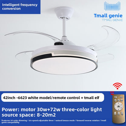 Ceiling Fan Light