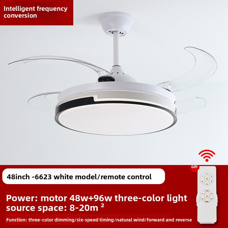 Ceiling Fan Light