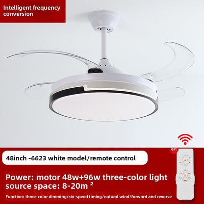 Ceiling Fan Light