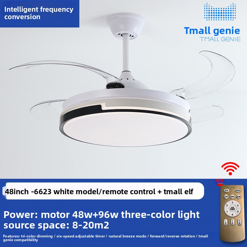 Ceiling Fan Light