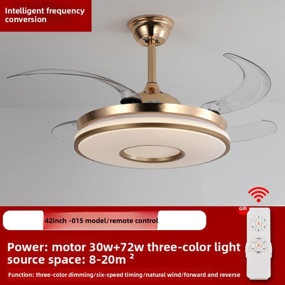 Ceiling Fan Light
