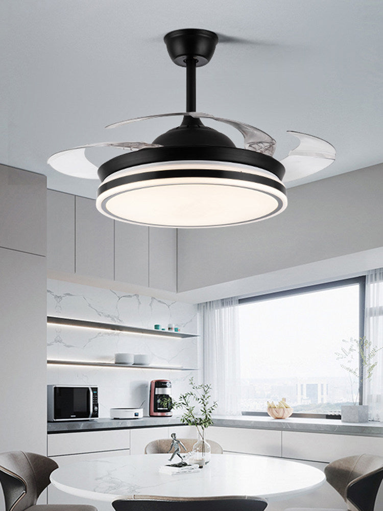 Ceiling Fan Light