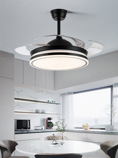 Ceiling Fan Light