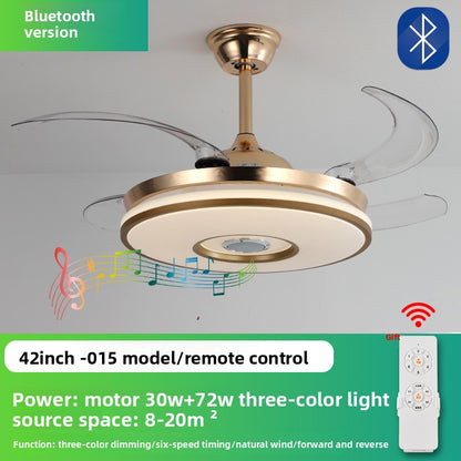 Ceiling Fan Light