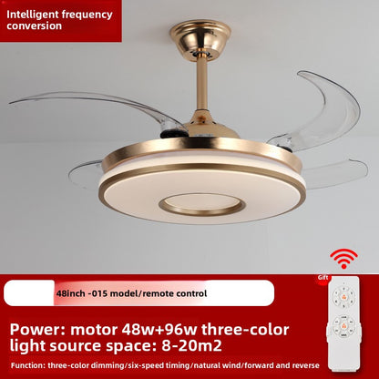 Ceiling Fan Light