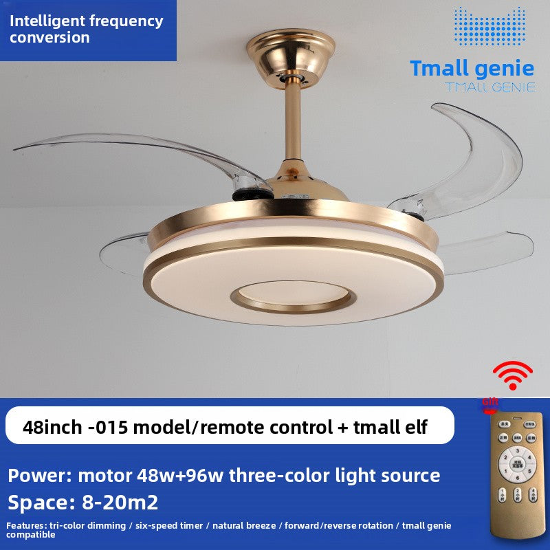 Ceiling Fan Light