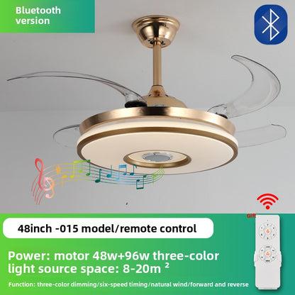 Ceiling Fan Light