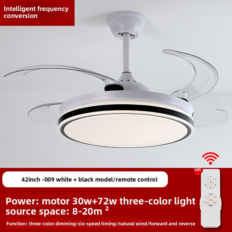 Ceiling Fan Light