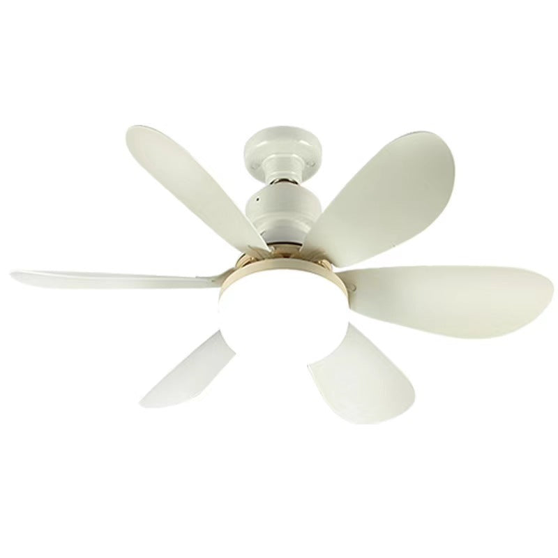 Ceiling Fan Light
