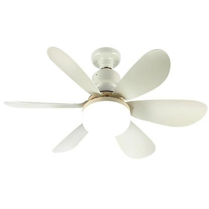 Ceiling Fan Light