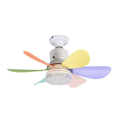 Ceiling Fan Light