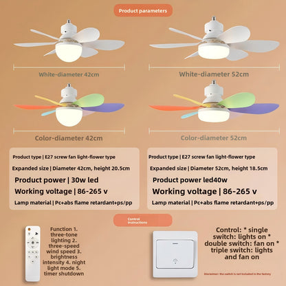 Ceiling Fan Light