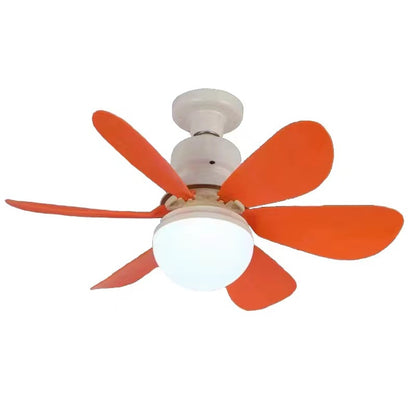 Ceiling Fan Light