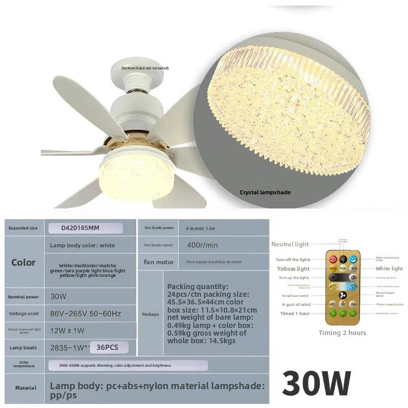 Ceiling Fan Light