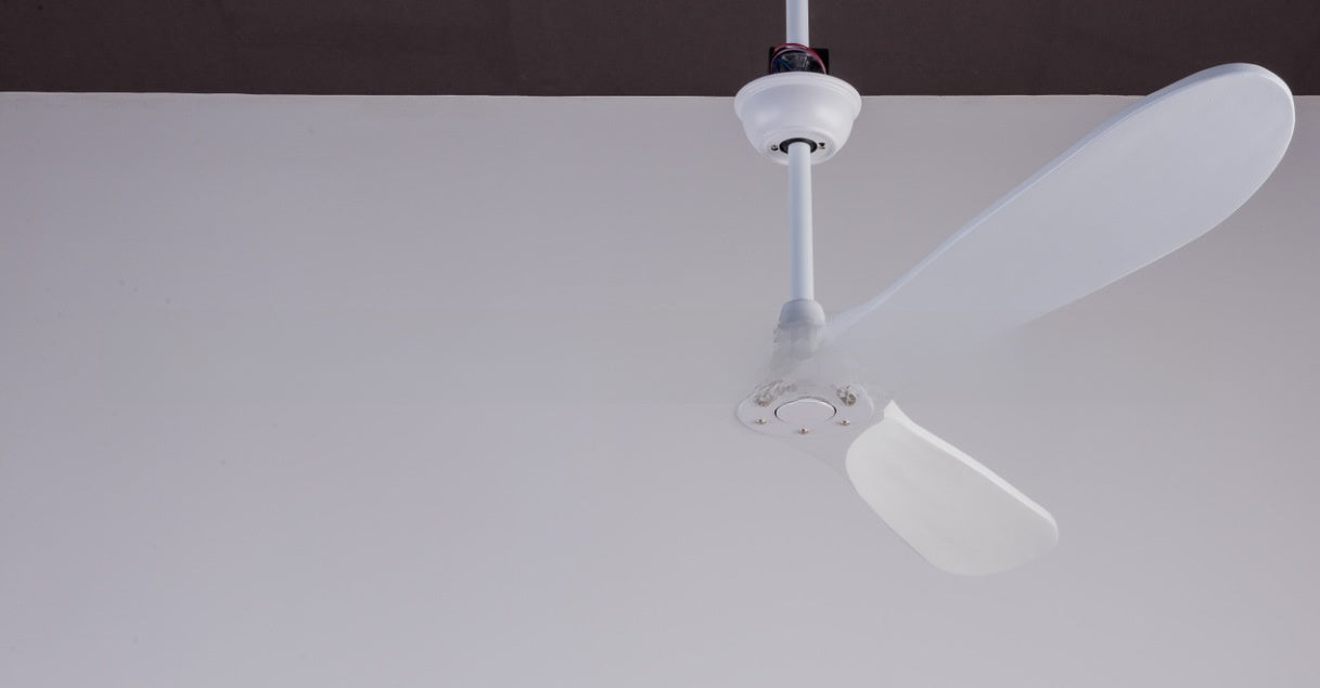 Ceiling Fan Light