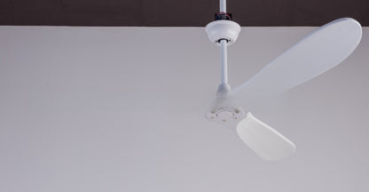 Ceiling Fan Light