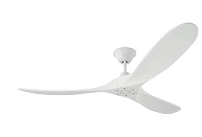 Ceiling Fan Light
