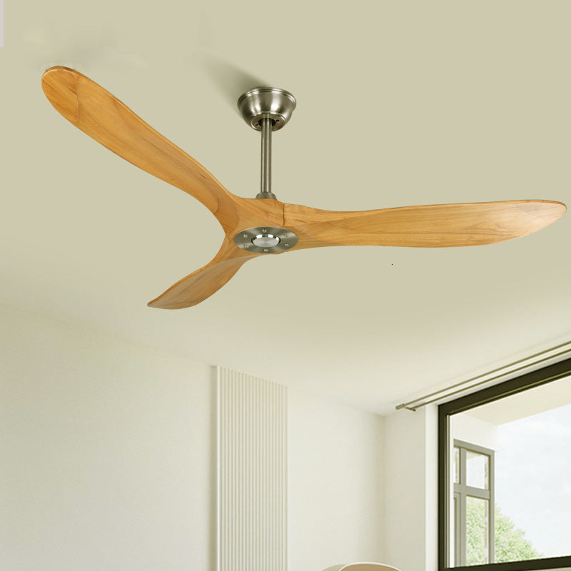 Ceiling Fan Light