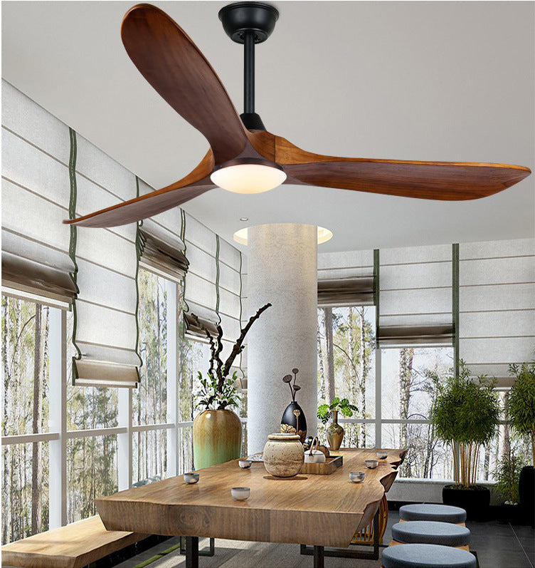 Ceiling Fan Light
