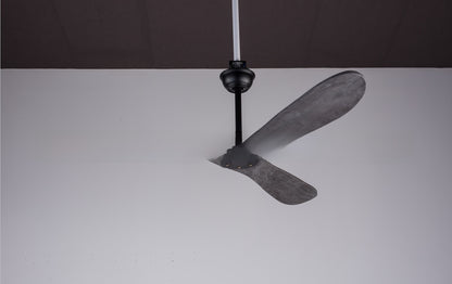 Ceiling Fan Light