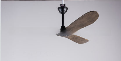 Ceiling Fan Light