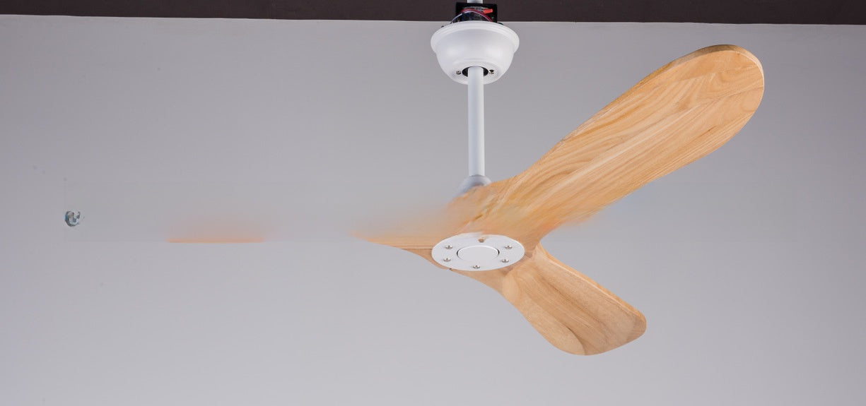 Ceiling Fan Light