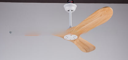Ceiling Fan Light