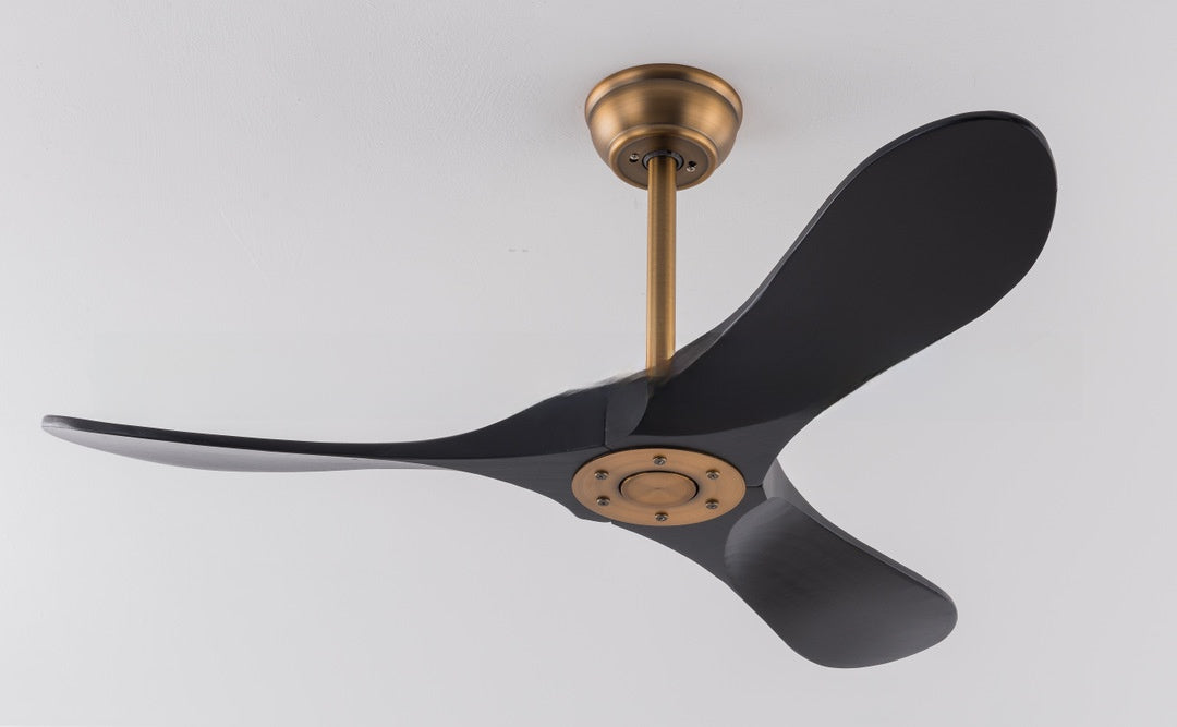Ceiling Fan Light