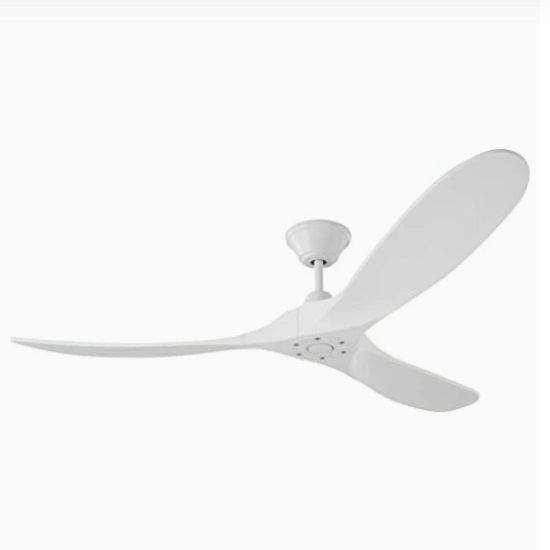 Ceiling Fan Light