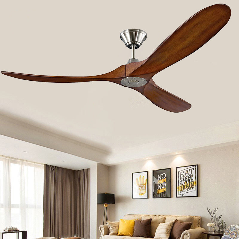 Ceiling Fan Light