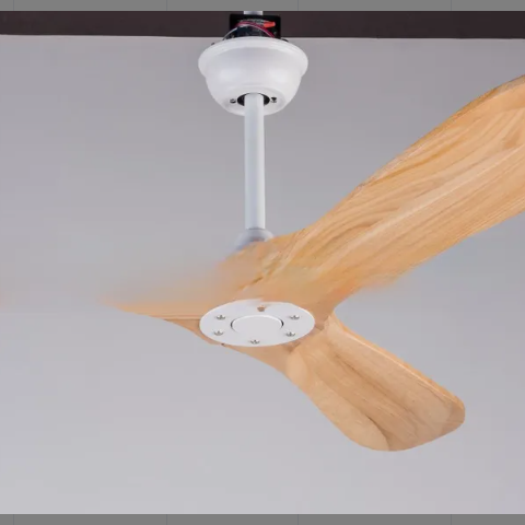 Ceiling Fan Light