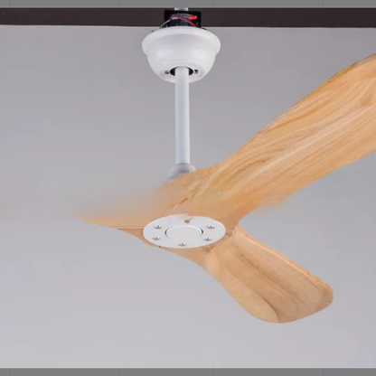 Ceiling Fan Light
