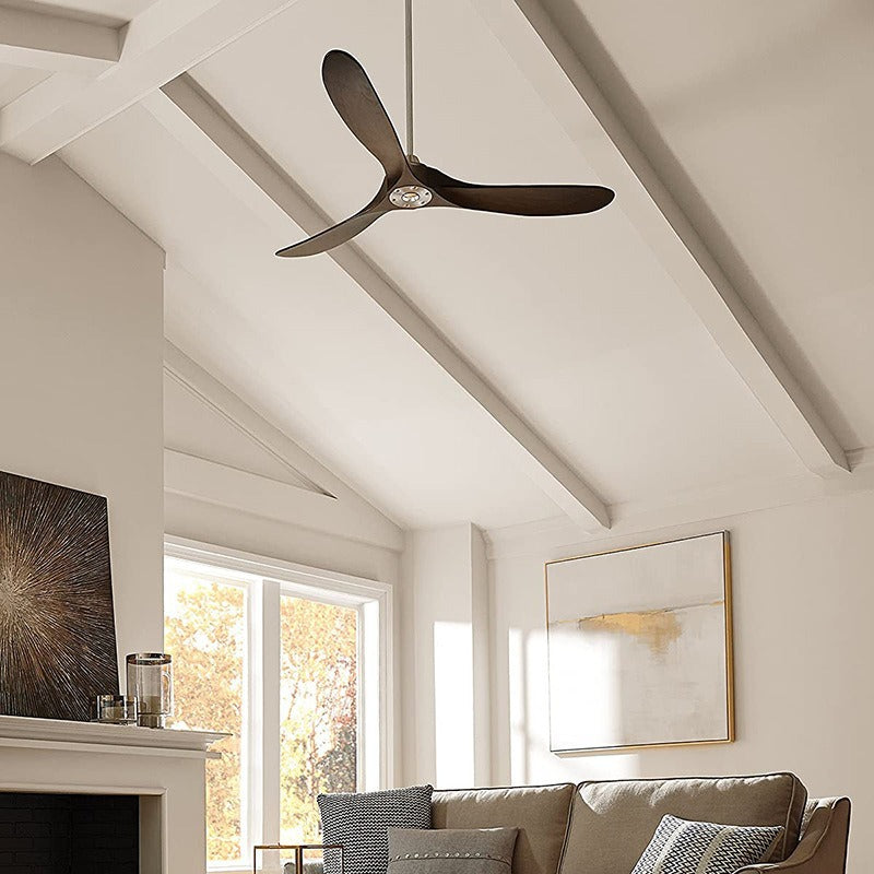 Ceiling Fan Light