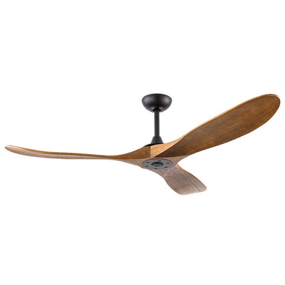 Ceiling Fan Light