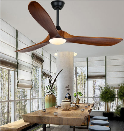 Ceiling Fan Light
