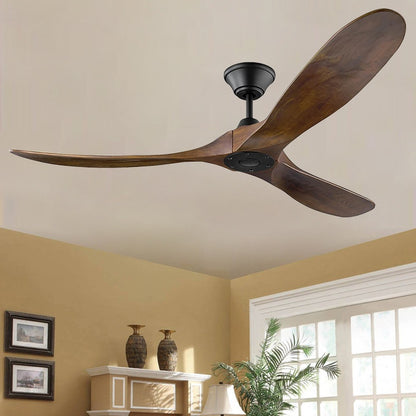 Ceiling Fan Light