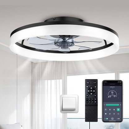Ceiling Fan Light