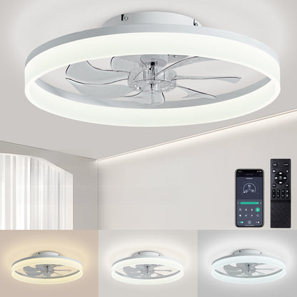 Ceiling Fan Light