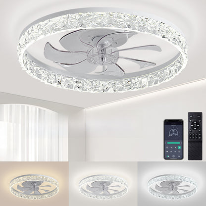 Ceiling Fan Light