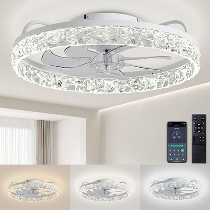Ceiling Fan Light