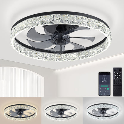 Ceiling Fan Light