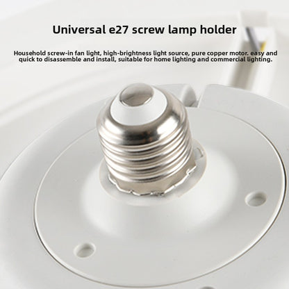 Ceiling Fan Light